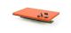 Plateau interchangeable Secabo 20 cm x 30 cm
