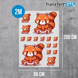 Votre Fournisseur De Transfert DTF ! Impression De Transfert DTF Et